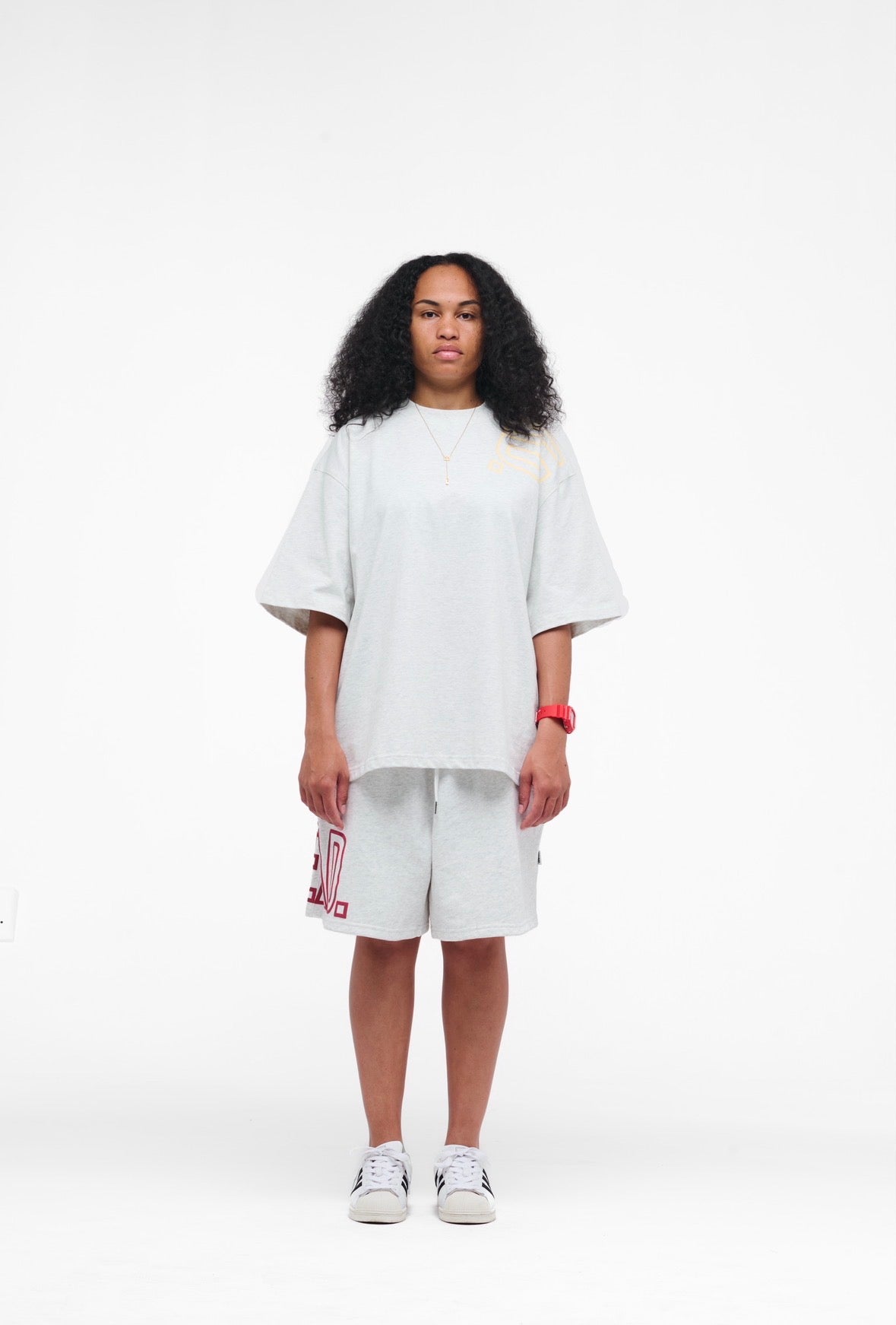Pantone 2.0 T-shirt Grey