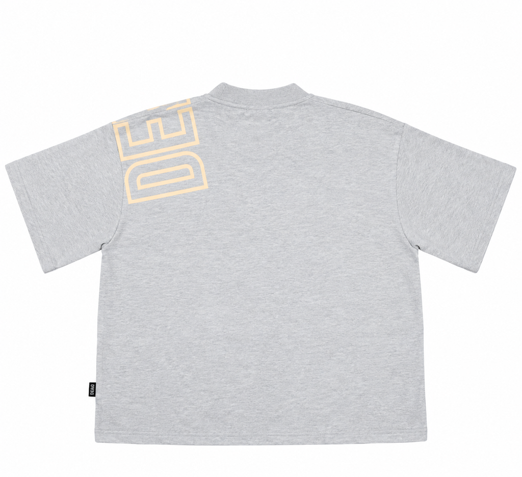 Pantone 2.0 T-shirt Grey